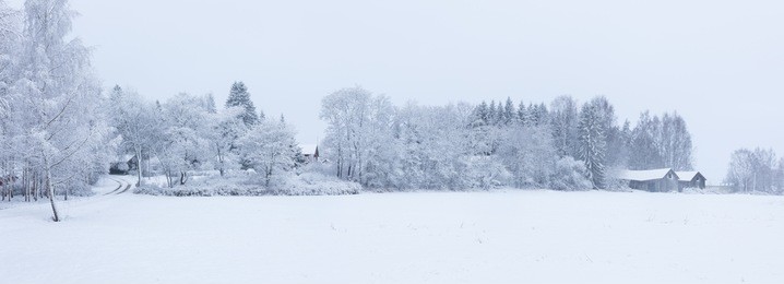 snowy winter landscape countryside