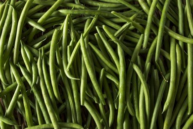 raw organic french green beans ready to cook
