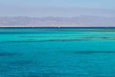 red sea in egypt. view from a boat in sharm-el-sheikh.