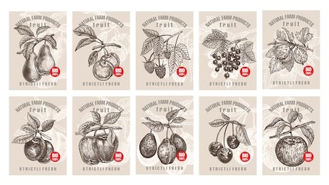 labels with various fruits, berries and inscriptions. set templates price tags for shops and markets of organic vegetarian food. vector illustration art. vintage. hand drawing of nature objects.