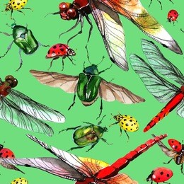 exotic ladybug wild insect pattern in a watercolor style. aquarelle wild insect for background, texture, wrapper pattern or tattoo.