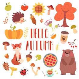 hello autumn cute animals and attribute set. forest adorable fox, bear, hedgehog, plants and food.