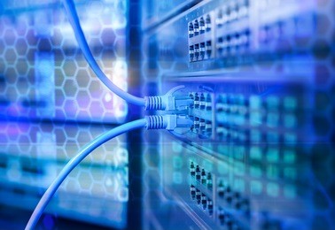 ethernet network cables connected to internet switch.