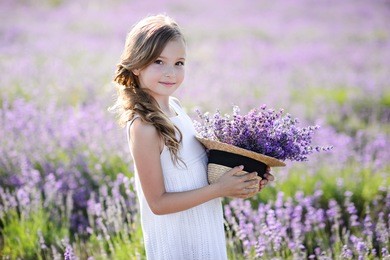 beautiful girl in a field of lavender on sunset. girl in amazing dress walk on the lavender field.