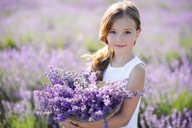 beautiful girl in a field of lavender on sunset. girl in amazing dress walk on the lavender field.