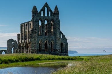 abbey ruins 