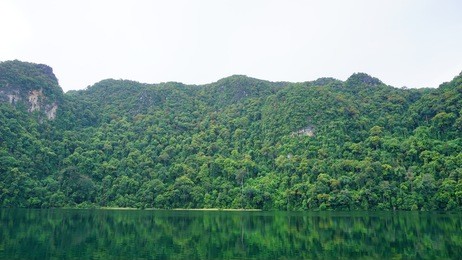 pulau dayang bunting, langkawi’s second largest uninhabited island, is easily accessible via a 15-minute boat ride from kuah jetty. its name literally translates to ‘isle of the pregnant maiden.