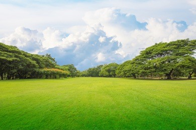 green grass green trees in beautiful park white cloud blue sky in noon.
beautiful park scene in public park with green grass field, green tree plant and a party cloudy blue sky
