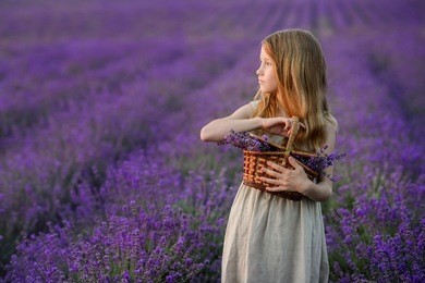 beautiful girl in amazing dress walk on the lavender field.