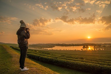 asian women travel at tea plantation in chiang rai province of thailand during the sunrise.