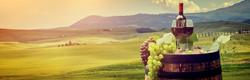 red wine with barrel on vineyard in green tuscany, italy