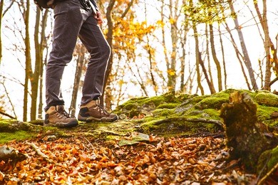 hikers boots on forest trail. autumn hiking. close-up of male walking in trekking shoes on the background of leaves and trees. travel, sports, lifestyle concept.