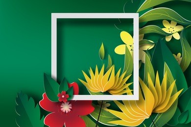 paper art of  frame with green leaf and flower, banners,white,vector