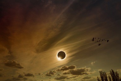 amazing scientific background - total solar eclipse in dark red glowing sky, mysterious natural phenomenon when moon passes between planet earth and sun