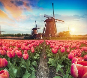 warm and cloudy sunset on the kinderdijk, unesco world heritage site, alblasserdam, netherlands
