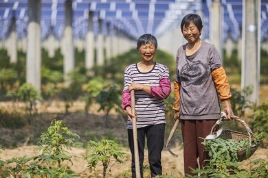 asian peasant woman standing in the field smiling