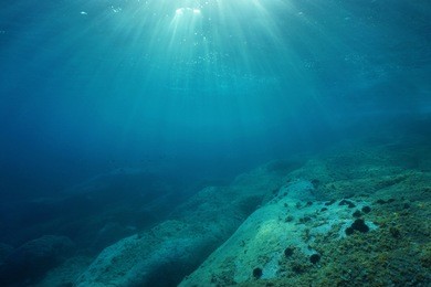 natural sunlight underwater through water surface in the mediterranean sea on a rocky seabed, catalonia, roses, costa brava, spain