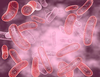 bacterial infection with many bacteria cells 3d rendering.