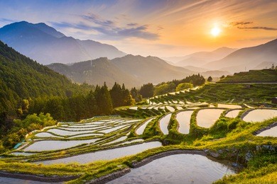 rice terraces at sunset in maruyama-senmaida, kumano, japan.