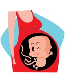 pregnant woman and babyborn