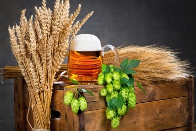 glass of beer and raw material for beer production