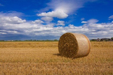 stephan walochnik的作品 站酷海洛 正版图片,视频,字体,音乐素材交易平台 站酷旗下品牌