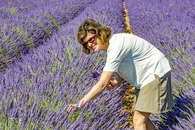 woman in blooming lavender field