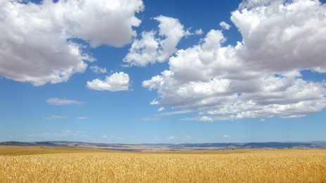monaro grasslands big sky country