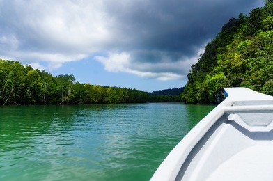 in boat shot during the river cruise showing the tree covered hills, cloudy skies and beautiful green water in in kilim park langkawi. this is a popular tourist destination
