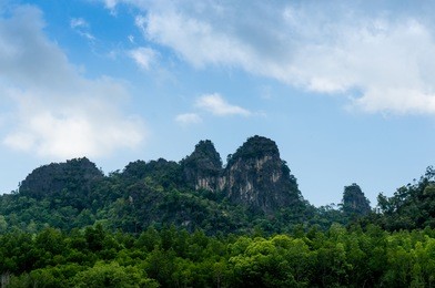tree covered hills on the riverside of the kilim park in langkawi. this is a popular tourist spot shot on a cloudy afternoon.