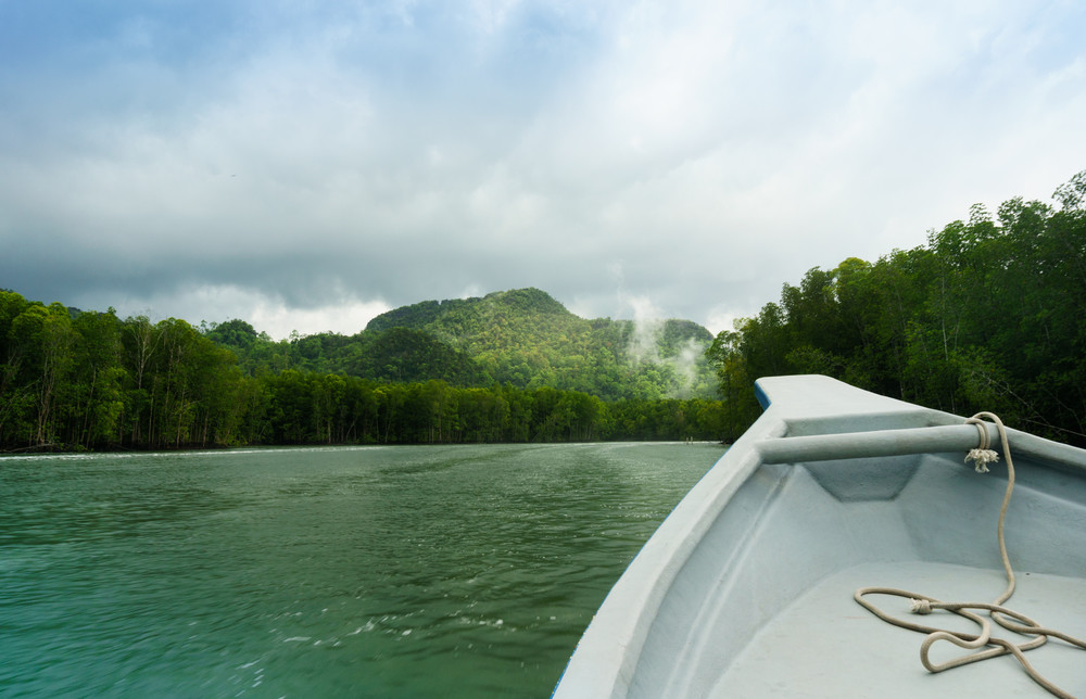 in boat shot during the river cruise showing the tree covered hills, cloudy skies and beautiful green water in in kilim park langkawi. this is a popular tourist destination