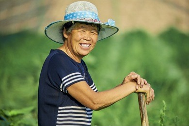 asian peasant smiles in the field