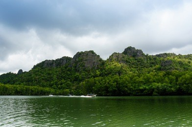 speed boat moving at high speed on a green water river against a backdrop of hills, cloudy skies and forests. these river trips are very popular in the kilim geoforest in malaysia