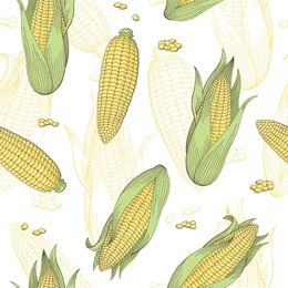 corn graphic color seamless pattern sketch illustration vector