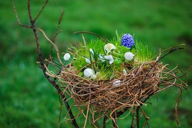 nest on a branch decorated with flowers
