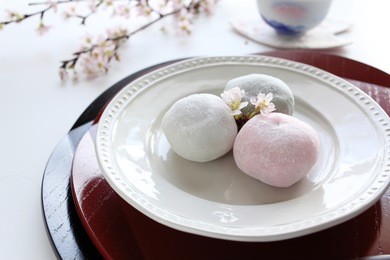 japanese traditional dessert three color mochi