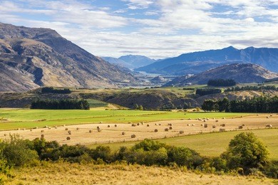 farmland at queenstown, new zealand