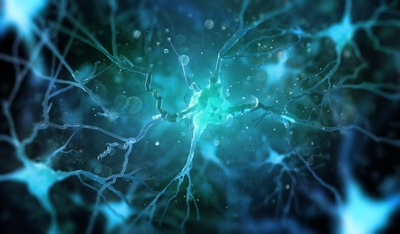 neurons in the brain on dark background (3d illustration)