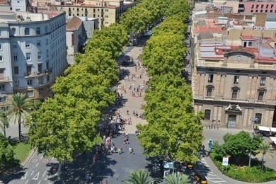 top view on la rambla in barcelona old town