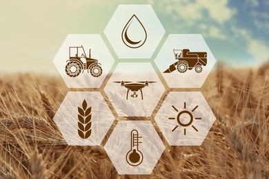 icons and field on background. concept of smart agriculture and modern technology