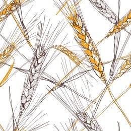 vector seamless pattern with hand drawn ear of wheat. hand drawn sketched illustration. concept for agriculture, organic cereal products, harvesting grain, bakery, healthy food.