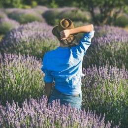 young blond curly haired woman traveller wearing straw hat, blue shirt and denim shorts enjoying lavender field surrounded with lavender flowers in isparta region of turkey, rear view, square crop