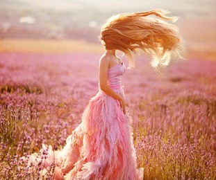 beautiful young woman in the lavender fields. pink skirt , a good mood . provence .