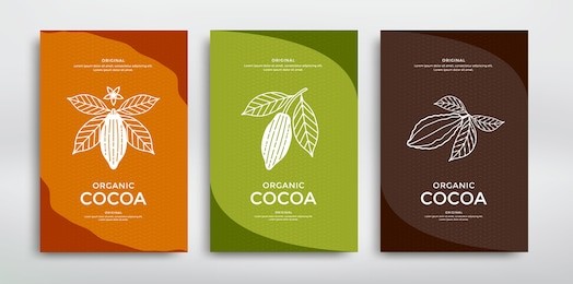 cocoa packaging design template. line style illustration. cacao powder