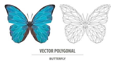 vector polygonal butterfly. low poly animal illustration. triangle insect color image.