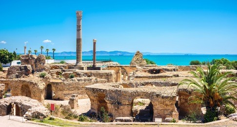panoramic view of ancient carthage. tunis, tunisia, north africa   