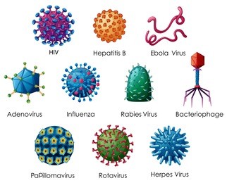 diagram showing different kinds of viruses illustration
