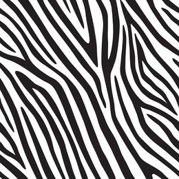 zebra seamless pattern. vector image.