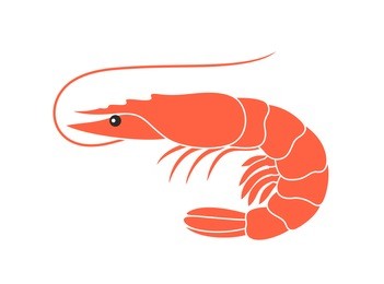 shrimp silhouette. isolated shrimp on white background. prawns