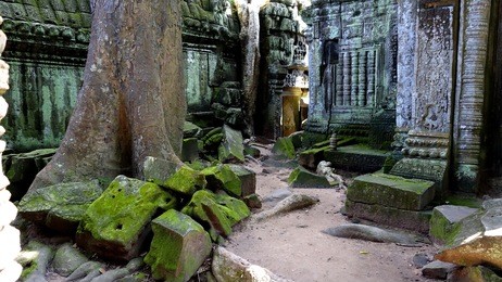 ta prohm temple, angkor, combodia